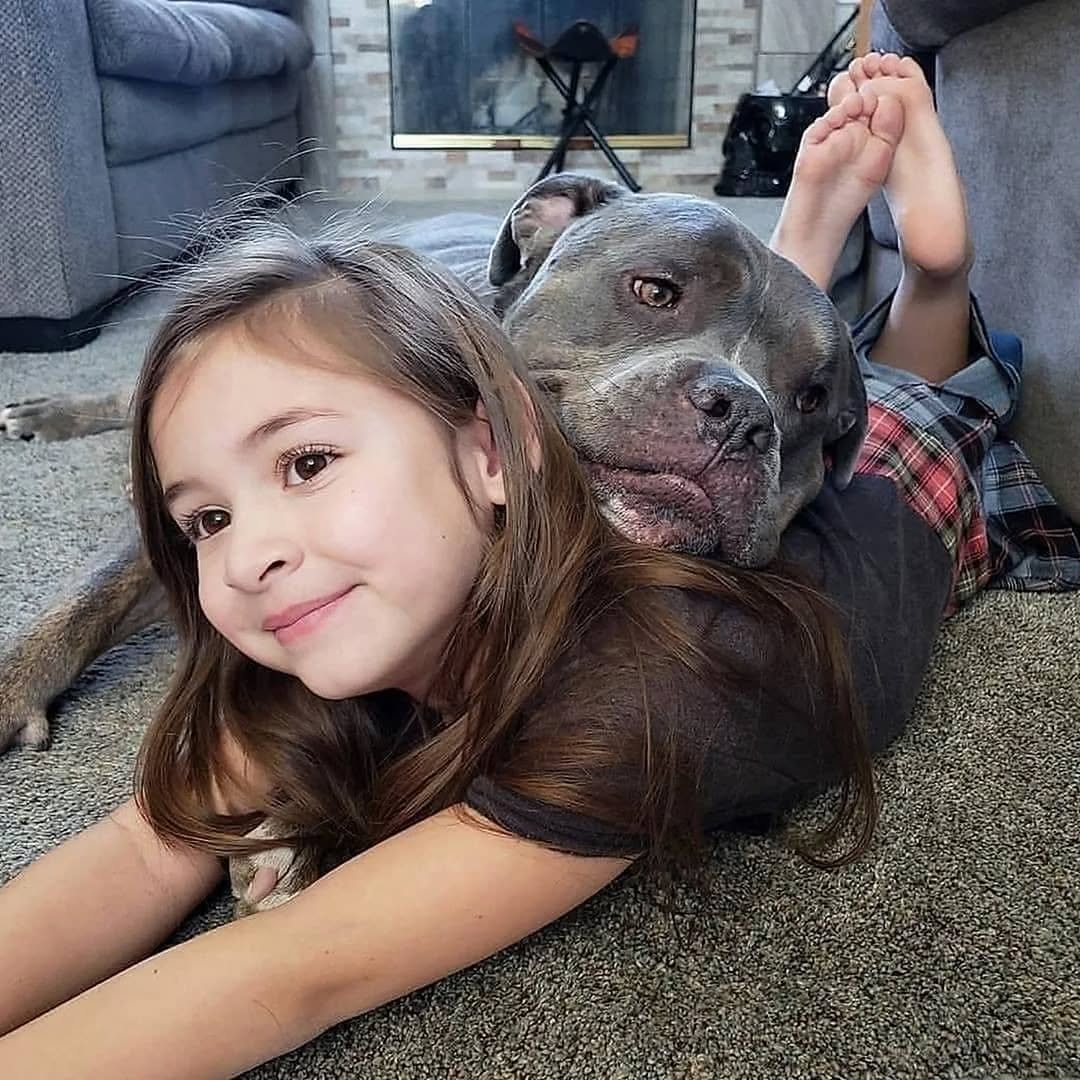 Happy Staffie family