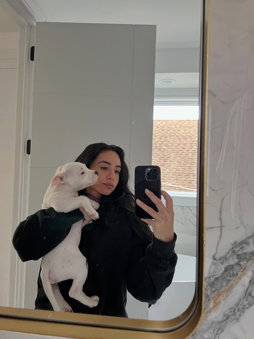 Happy Staffie family