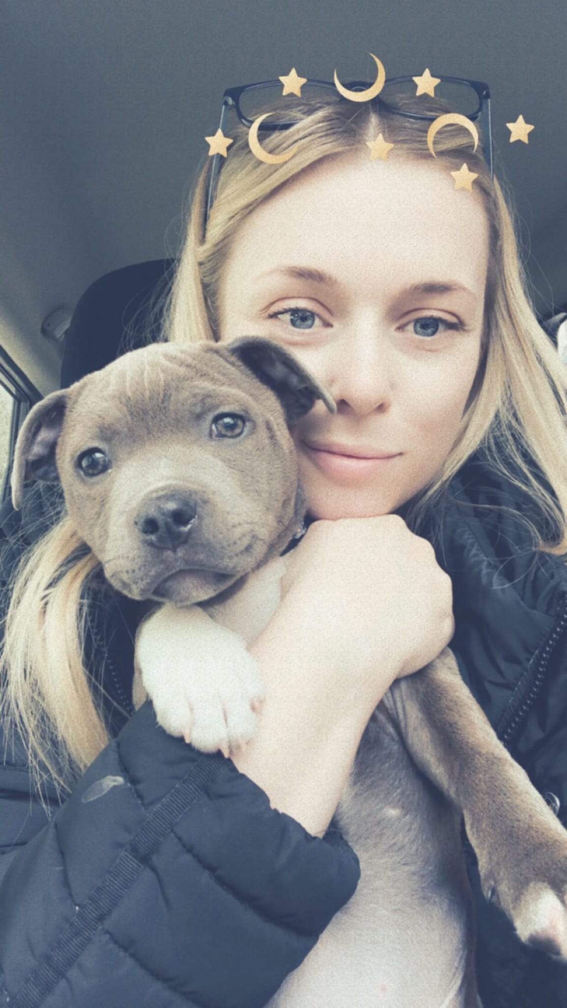 Happy Staffie family