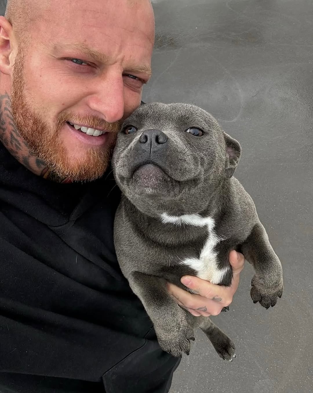 Happy Staffie family