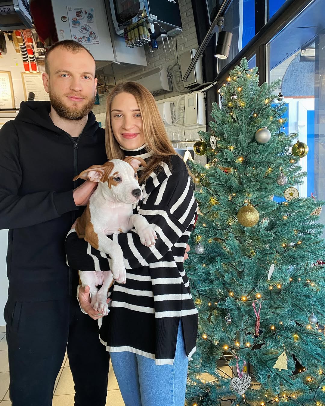 Happy Staffie family